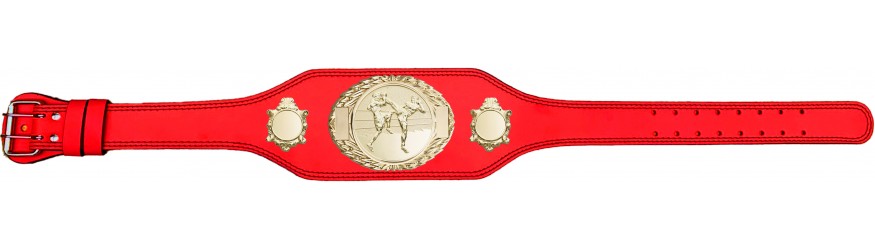 THAI BOXING CHAMPIONSHIP BELT-BUD295/G/TBOG-4 COLOURS